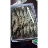 竹节虾