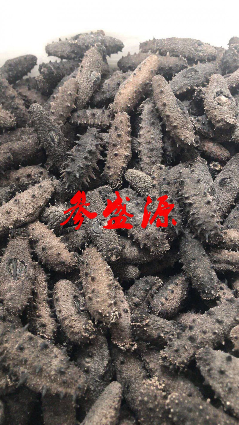 大连纯淡