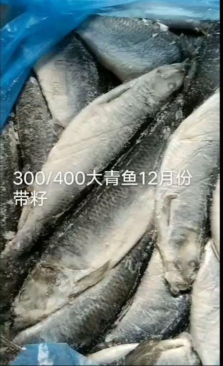 QQ截图20200907125644