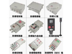 防爆防腐箱、操作柱