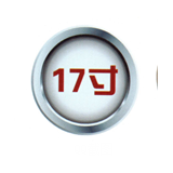 17寸