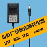 13.5v2A音响充电器